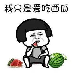 吃瓜娱乐tv,带你走进娱乐圈的幕后故事