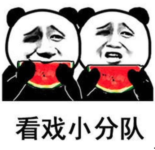 娱乐圈吃瓜的表情包